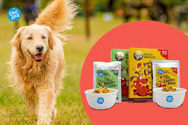 Pet Supplies & Products